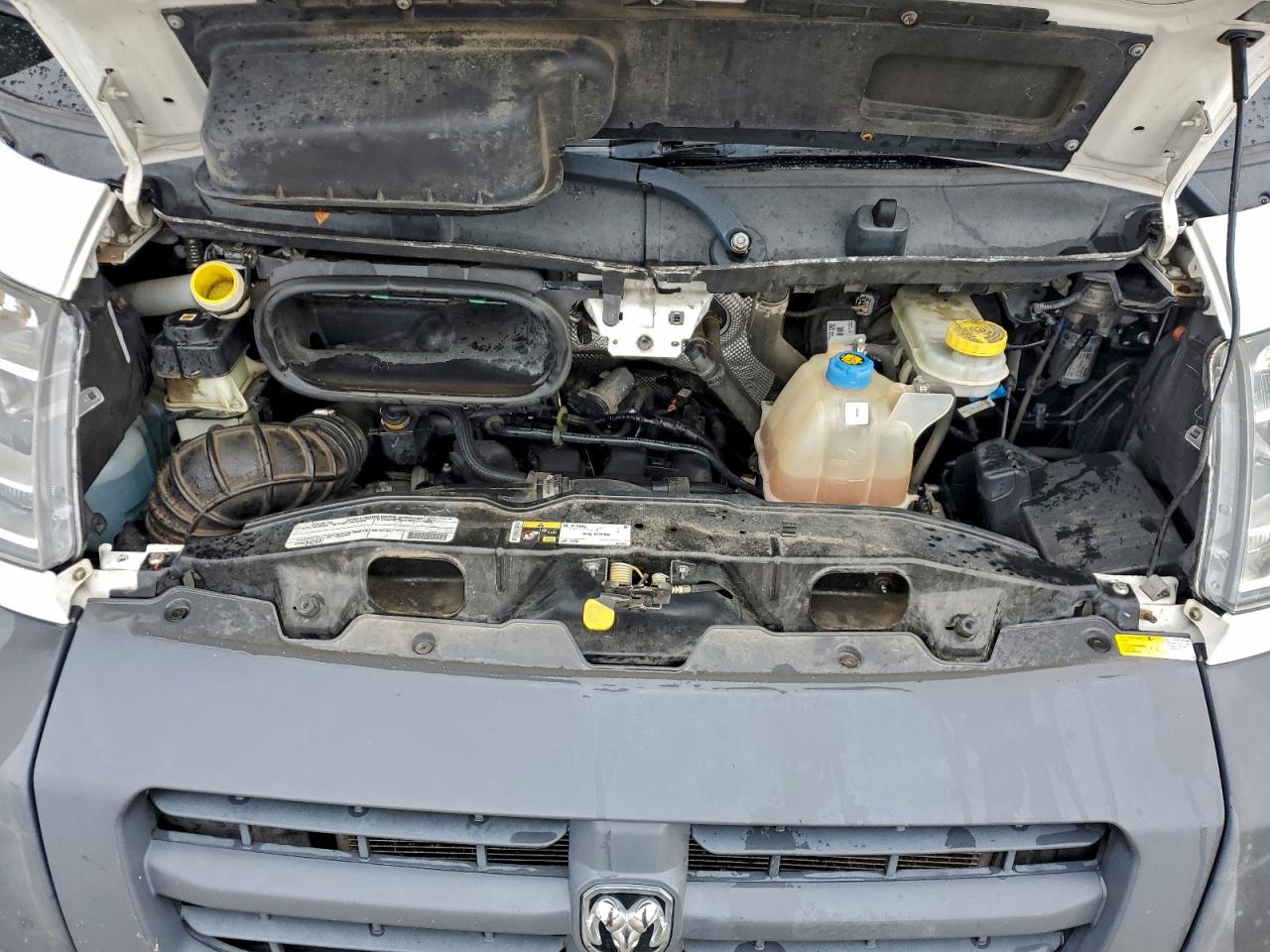 2016 Ram Promaster 1500 1500 Standard VIN: 3C6TRVAG5GE115794 Lot: 97559155