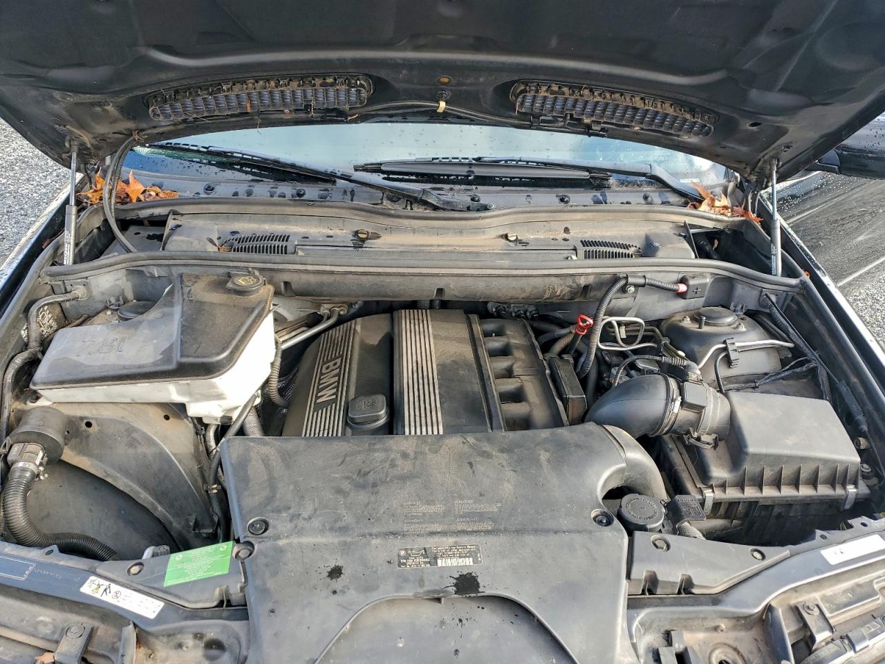 2005 BMW X5 3.0I VIN: 5UXFA13595LY13555 Lot: 93947505