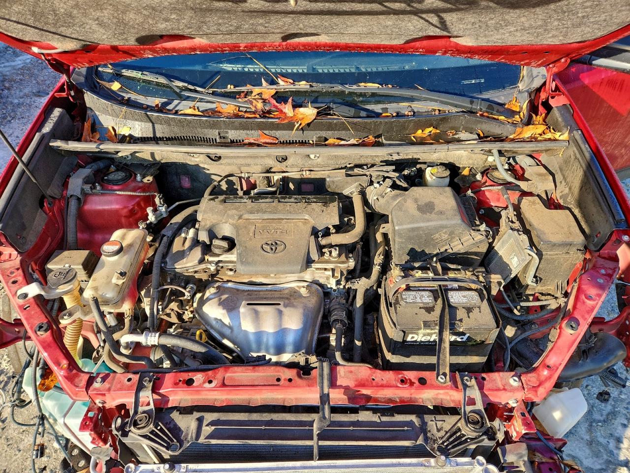 2015 Toyota Rav4 Le VIN: JTMZFREV2FJ049217 Lot: 93959065