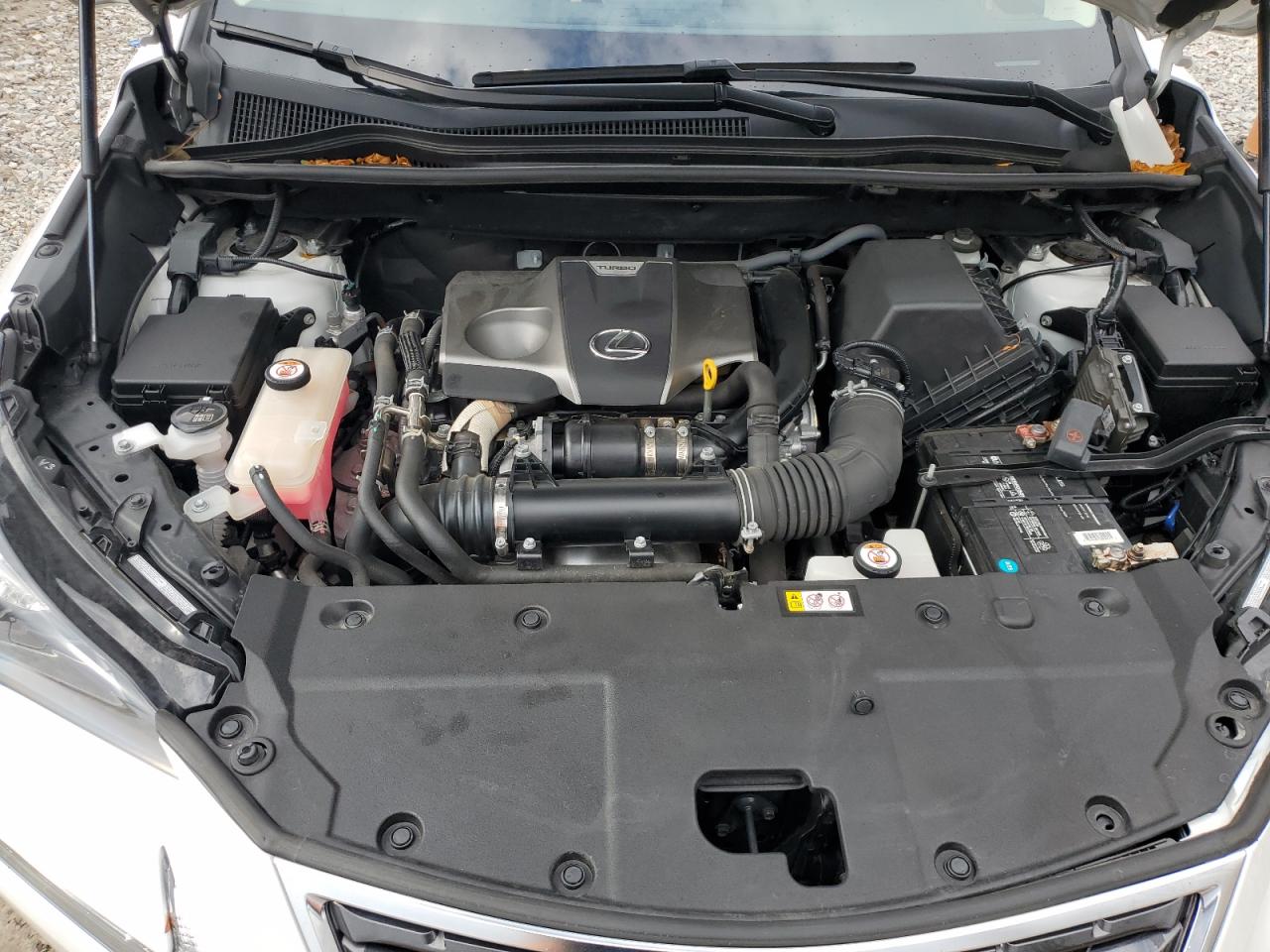 2020 Lexus Nx 300 VIN: JTJDARDZ1L5018510 Lot: 91293215