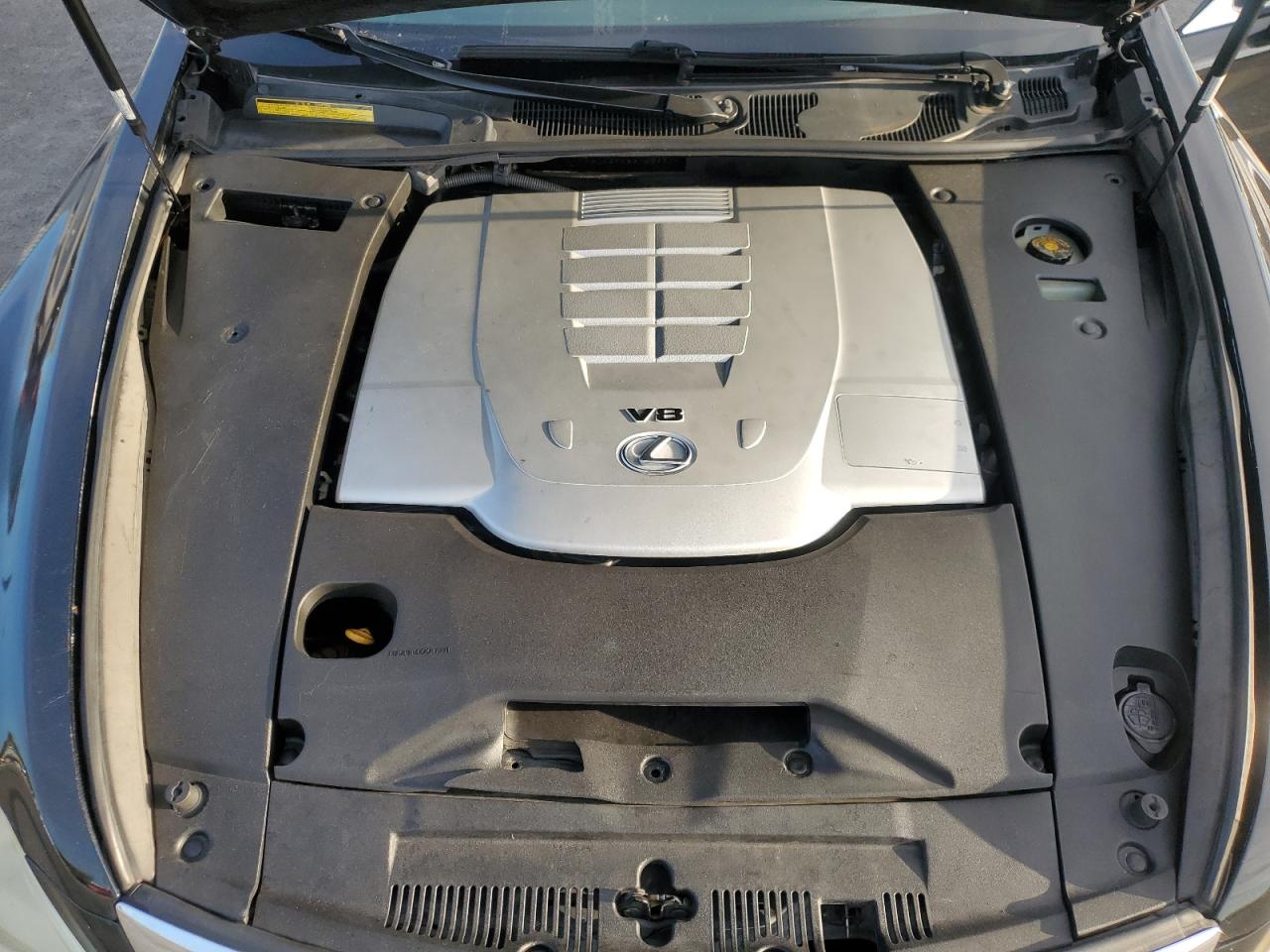 2008 Lexus Ls 460 VIN: JTHBL46F385055638 Lot: 91874295