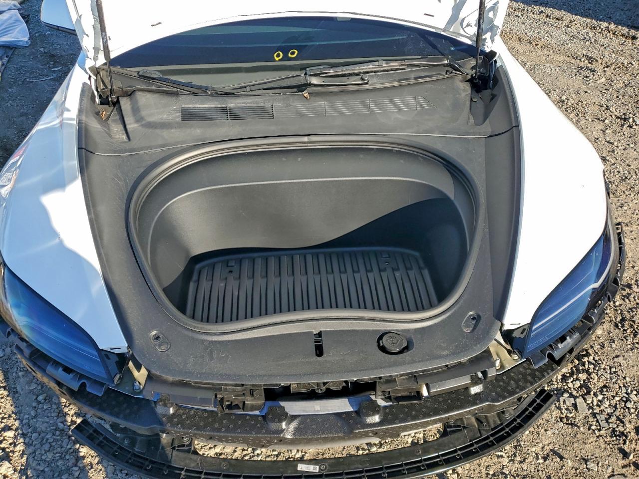 2024 Tesla Model 3 VIN: 5YJ3E1EA5RF831367 Lot: 93401645