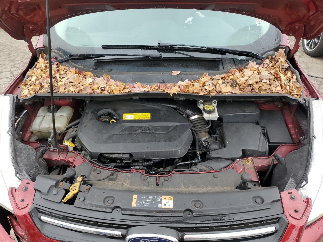 2016 Ford Escape Se VIN: 1FMCU0GX9GUC39890 Lot: 93613135