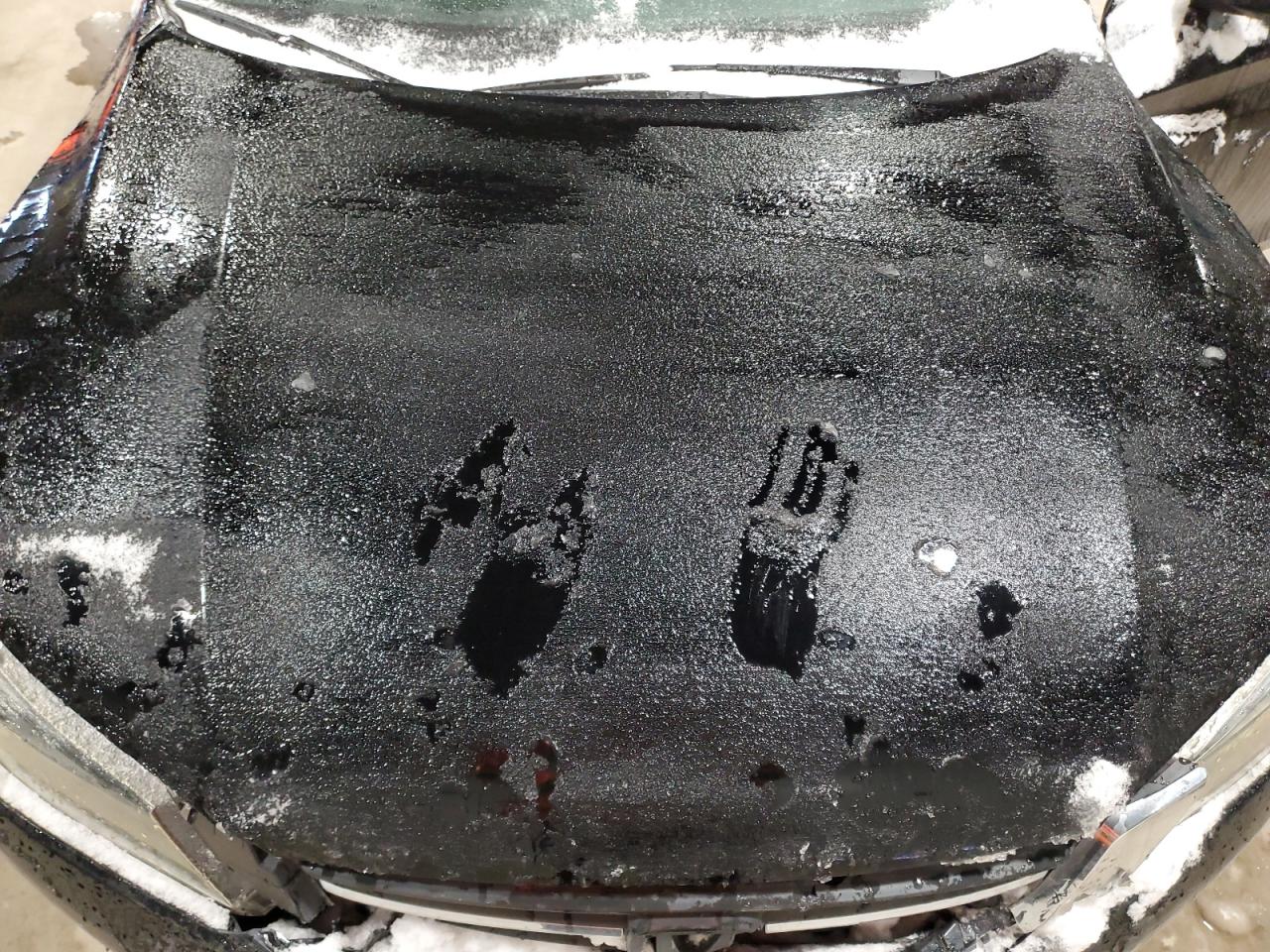 2013 Honda Accord Lx VIN: 1HGCR2F33DA808800 Lot: 92185405