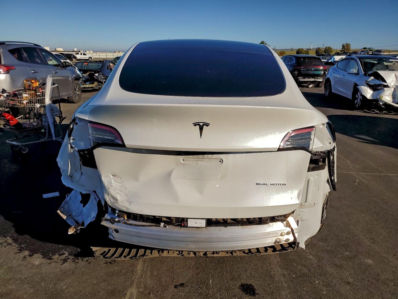 2023 Tesla Model Y VIN: 7SAYGAEEXPF622838 Lot: 93504795