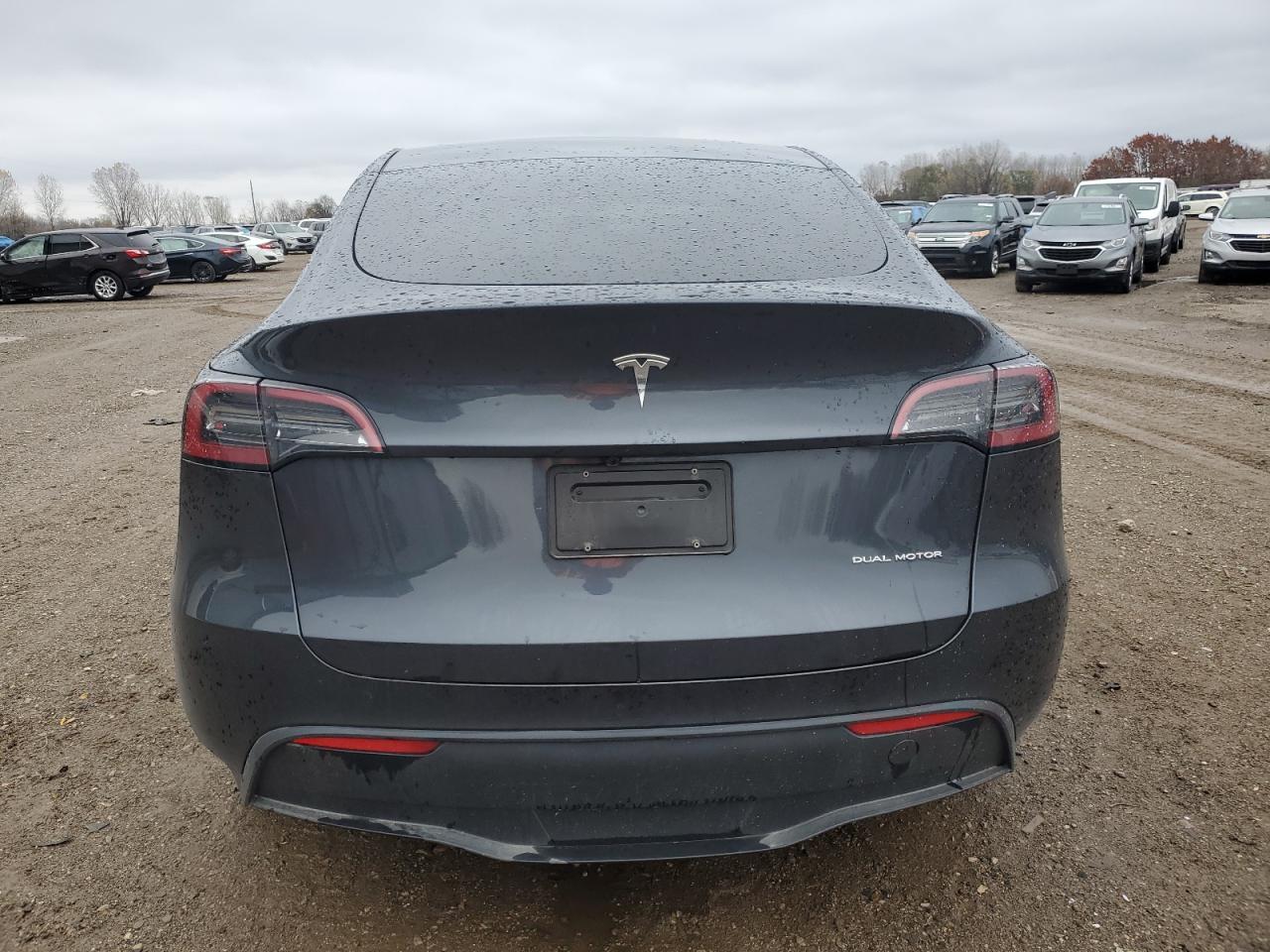 2025 Tesla Model Y VIN: 7SAYGDEE5SF298479 Lot: 91419895