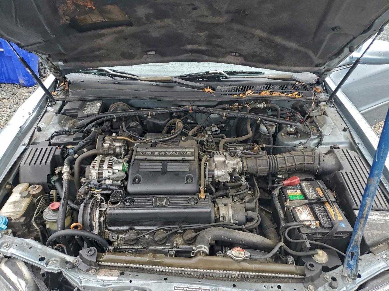 1995 Honda Accord Ex VIN: 1HGCE6664SA031750 Lot: 93781345