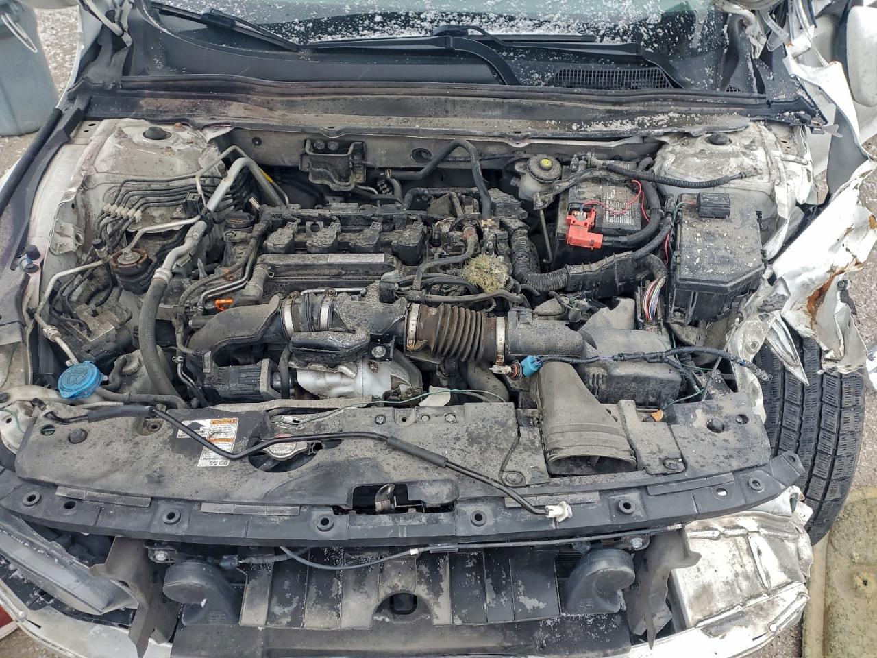 2020 Honda Accord Lx VIN: 1HGCV1F13LA800554 Lot: 93029285