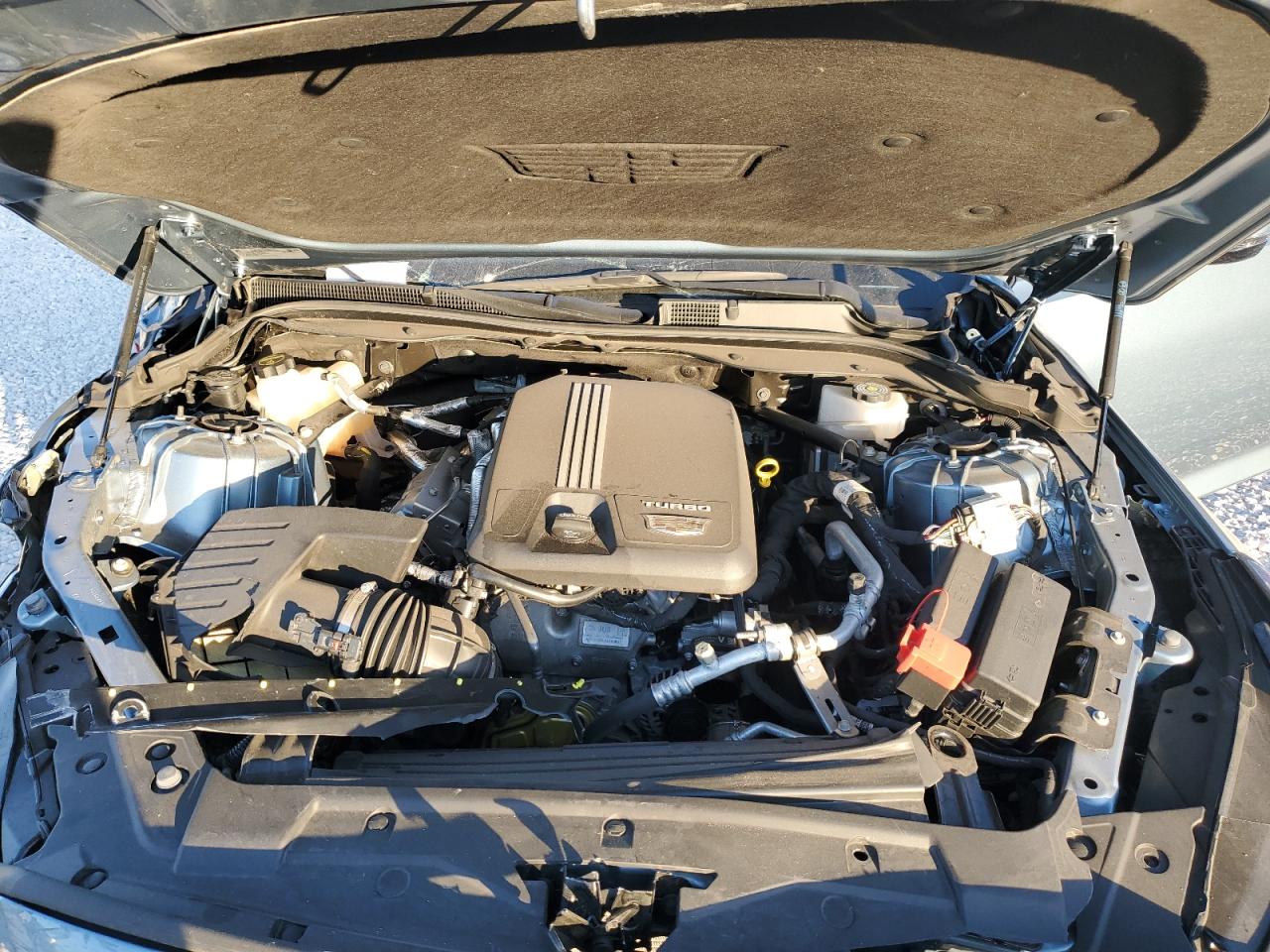 2024 Cadillac Ct5 Sport VIN: 1G6DP5RK1R0118086 Lot: 93524235