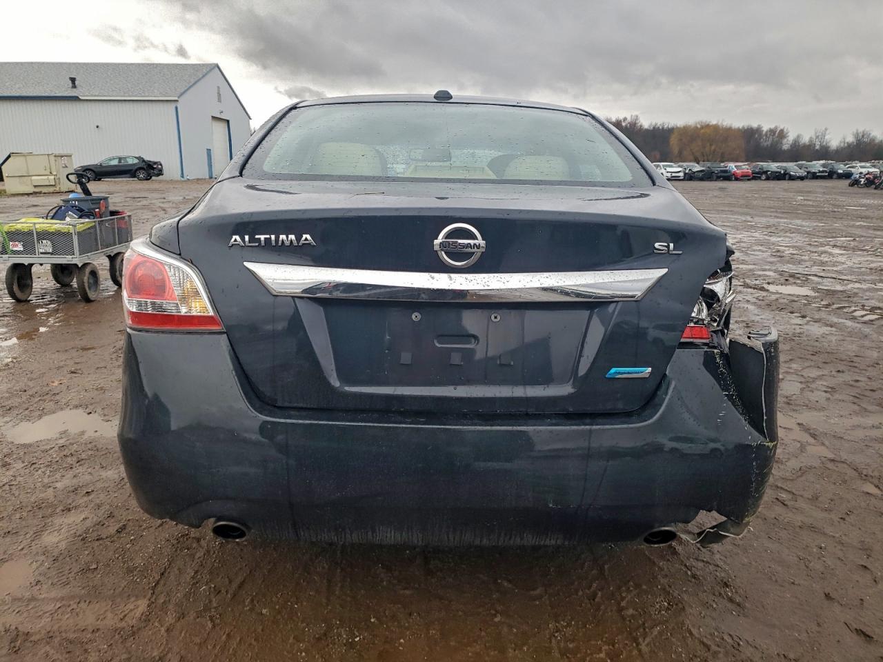 2014 Nissan Altima 2.5 VIN: 1N4AL3APXEC116553 Lot: 94403915