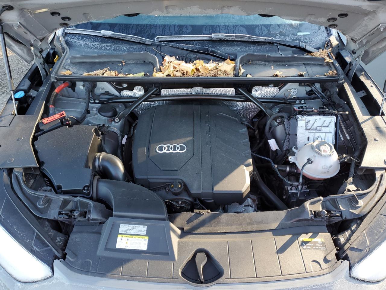 2021 Audi Q5 Sportback Prestige VIN: WA16AAFY2M2072932 Lot: 92834535