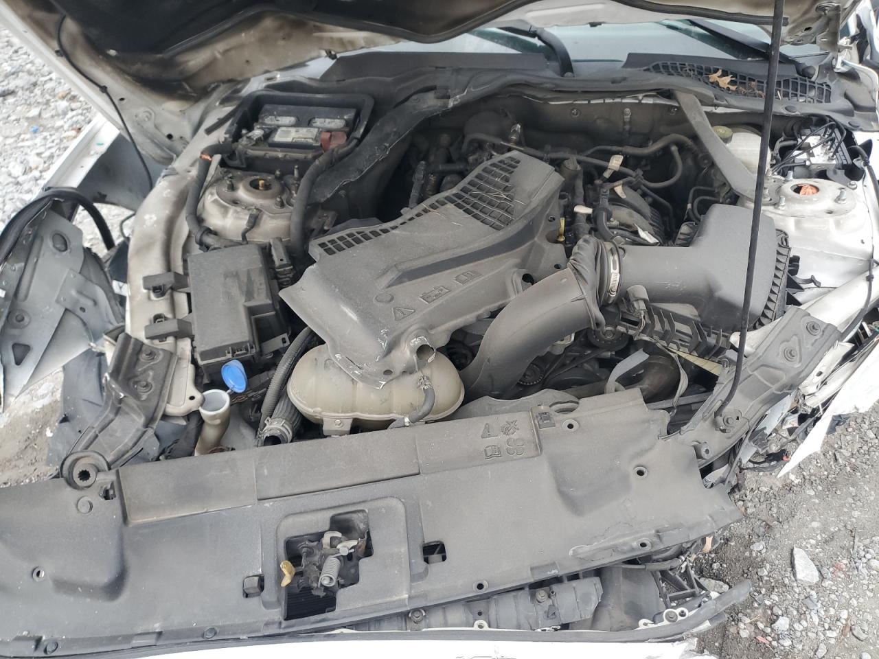 2021 Ford Mustang VIN: 1FATP8UH4M5104660 Lot: 91893205