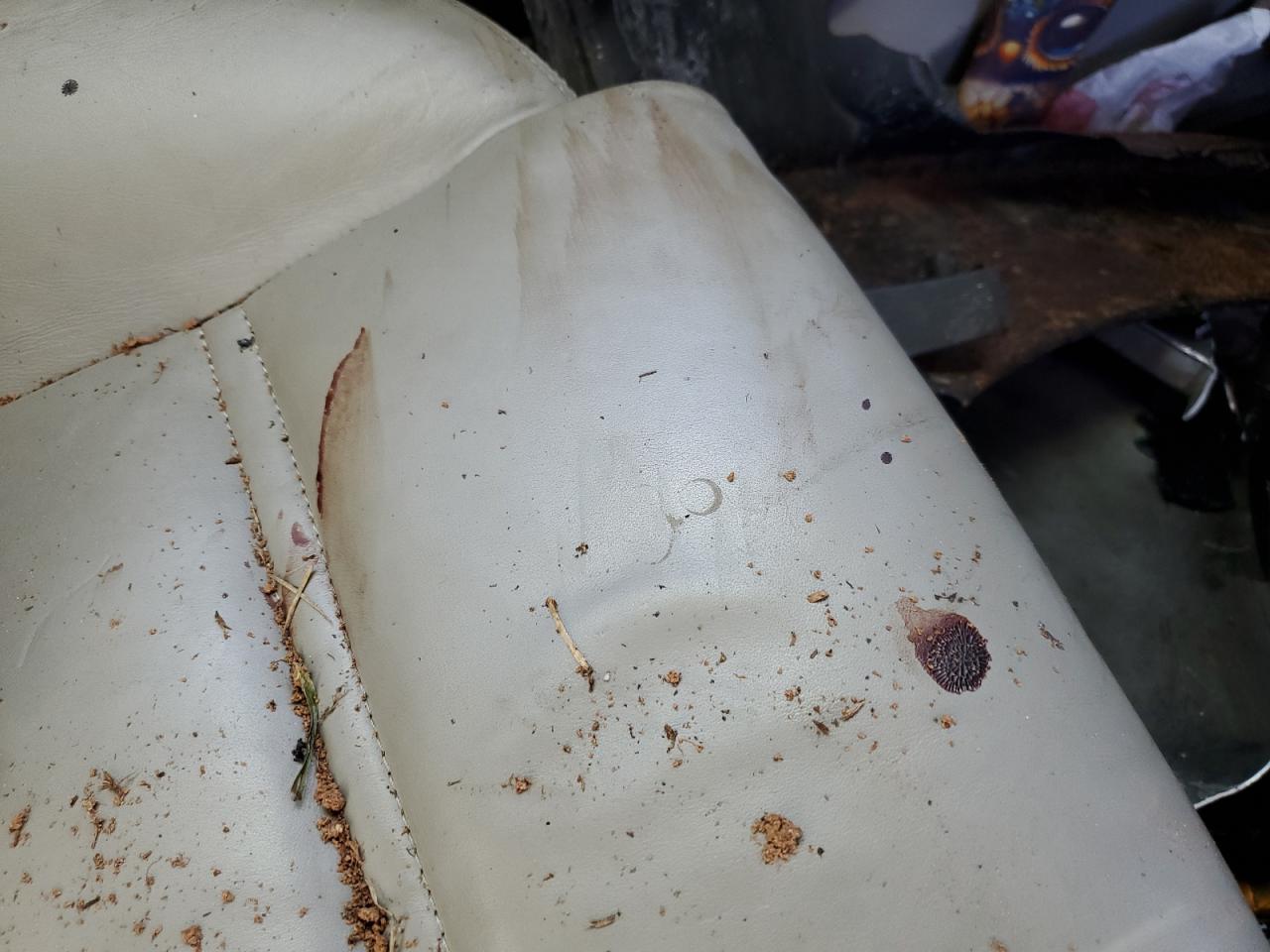 2008 Audi S8 Quattro VIN: WAUPN94E08N008816 Lot: 91616225