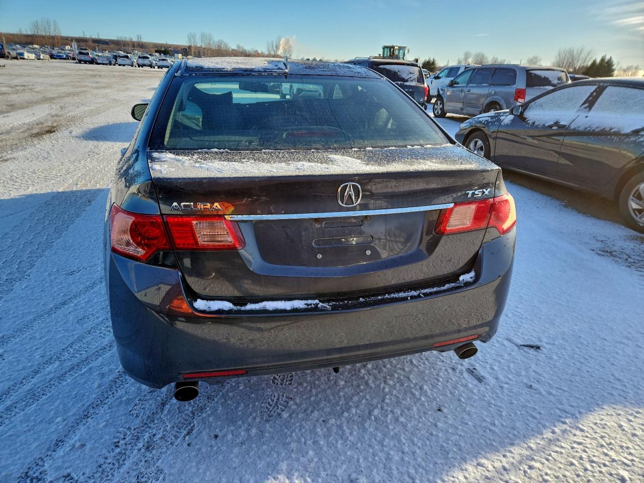 2011 Acura Tsx VIN: JH4CU2F60BC800208 Lot: 94434825