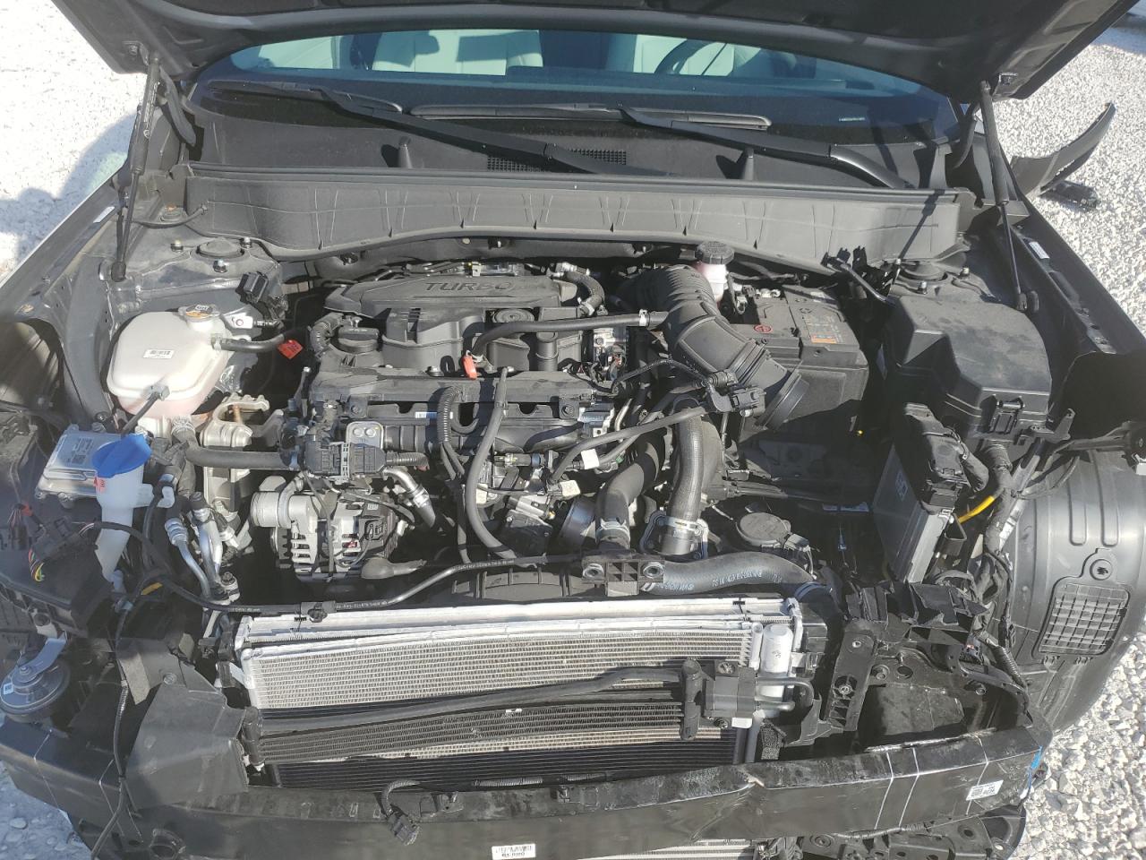 2024 Hyundai Kona Limited VIN: KM8HE3A33RU113375 Lot: 93834905