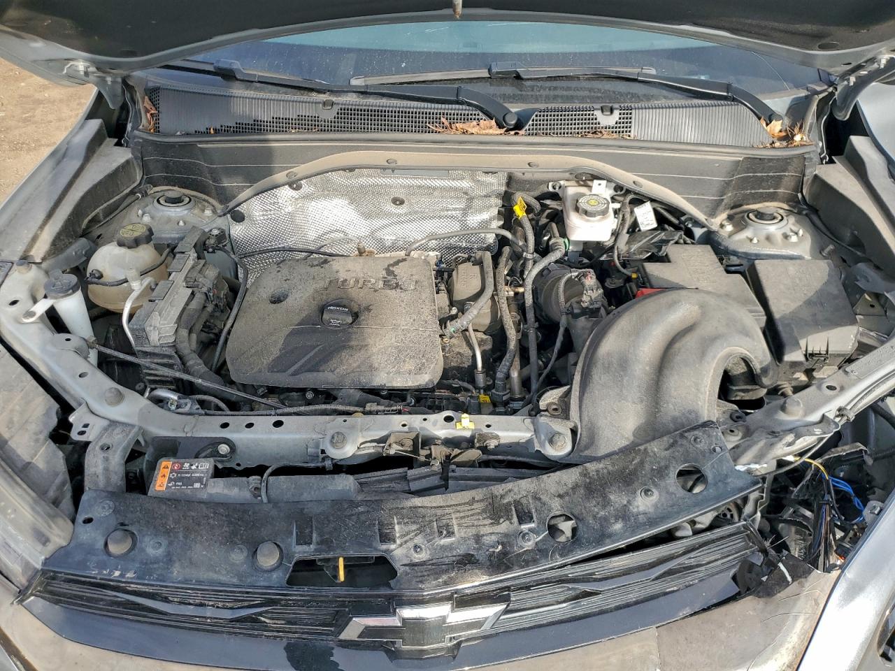 2023 Chevrolet Trailblazer Rs VIN: KL79MTSL6PB115086 Lot: 93692715