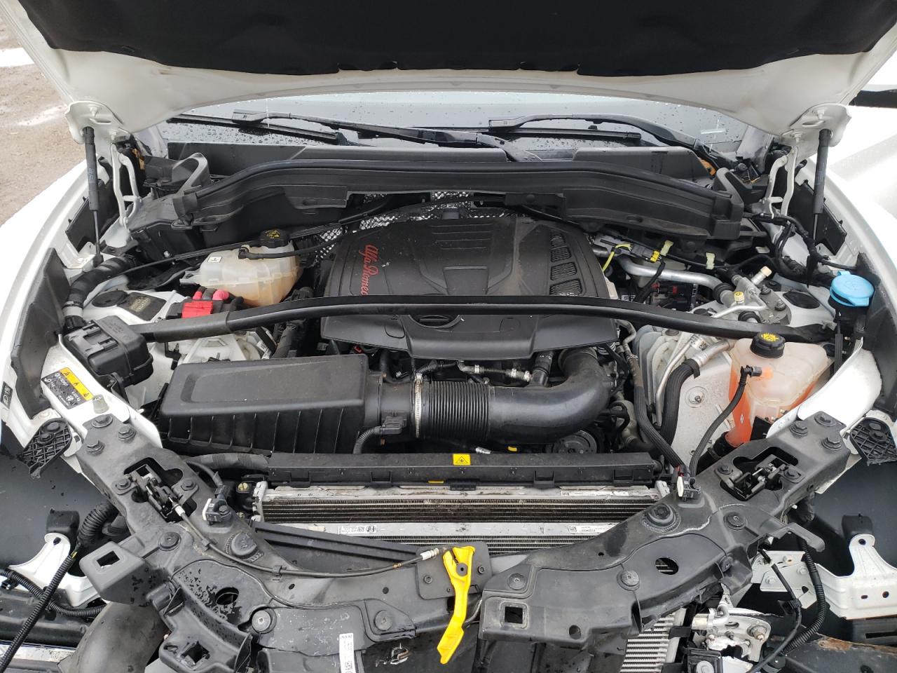 2020 Alfa Romeo Stelvio VIN: ZASPAKAN7L7C84666 Lot: 92021605