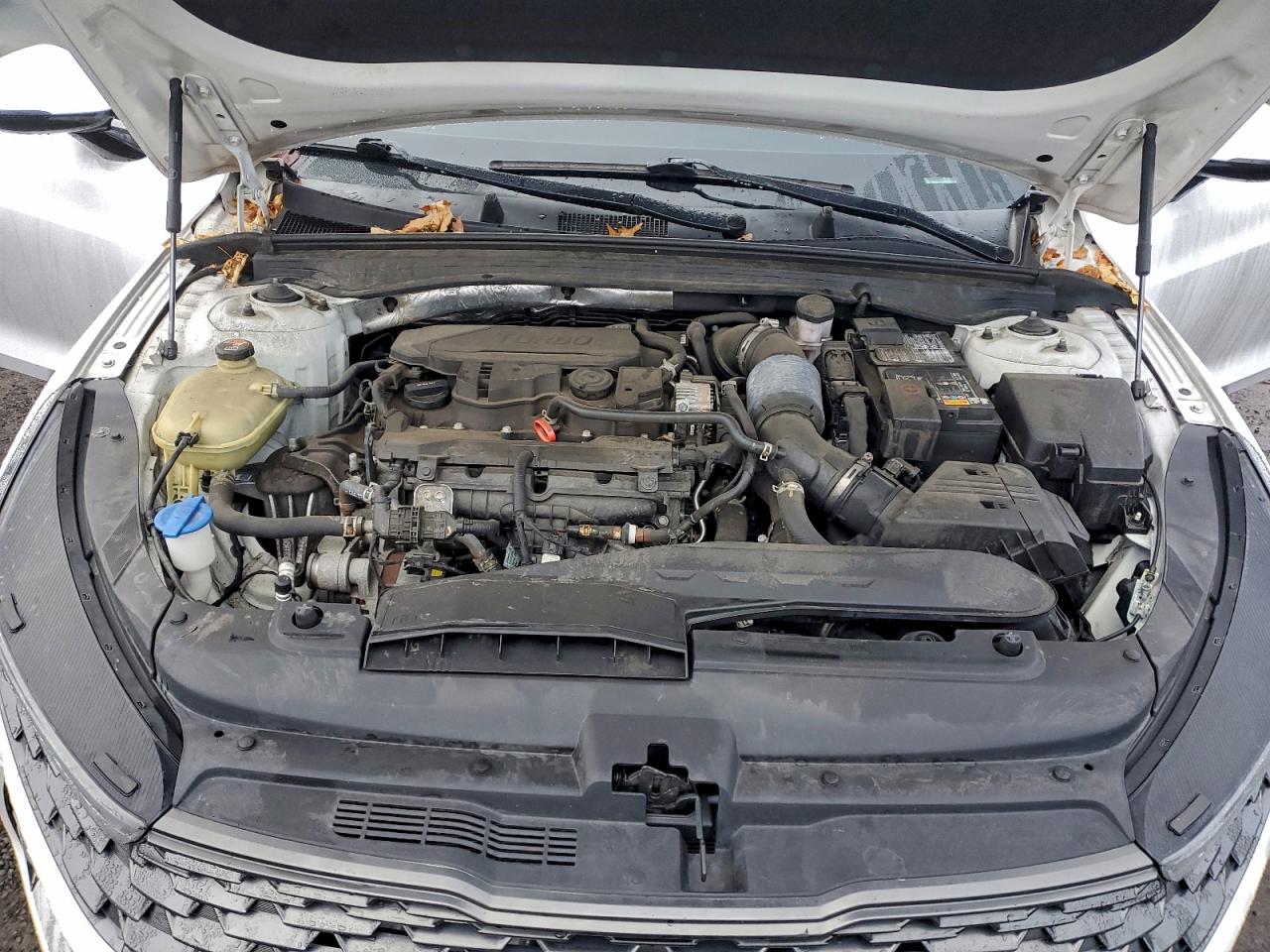 2021 Kia K5 Ex VIN: 5XXG34J24MG031303 Lot: 94289205