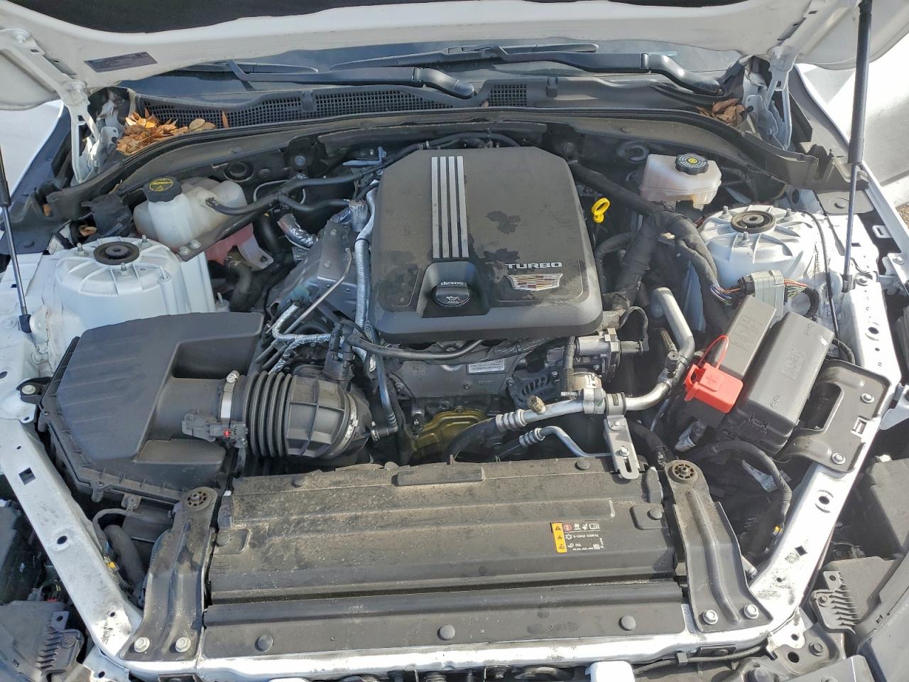 2024 Cadillac Ct4 Luxury + VIN: 1G6DJ5RK3R0116759 Lot: 94047485