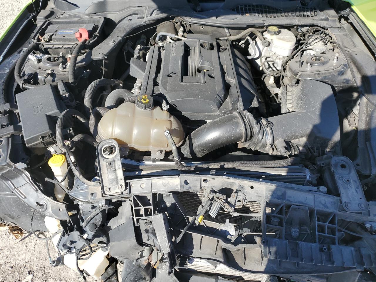 2019 Ford Mustang VIN: 1FA6P8TH3K5181211 Lot: 92002205