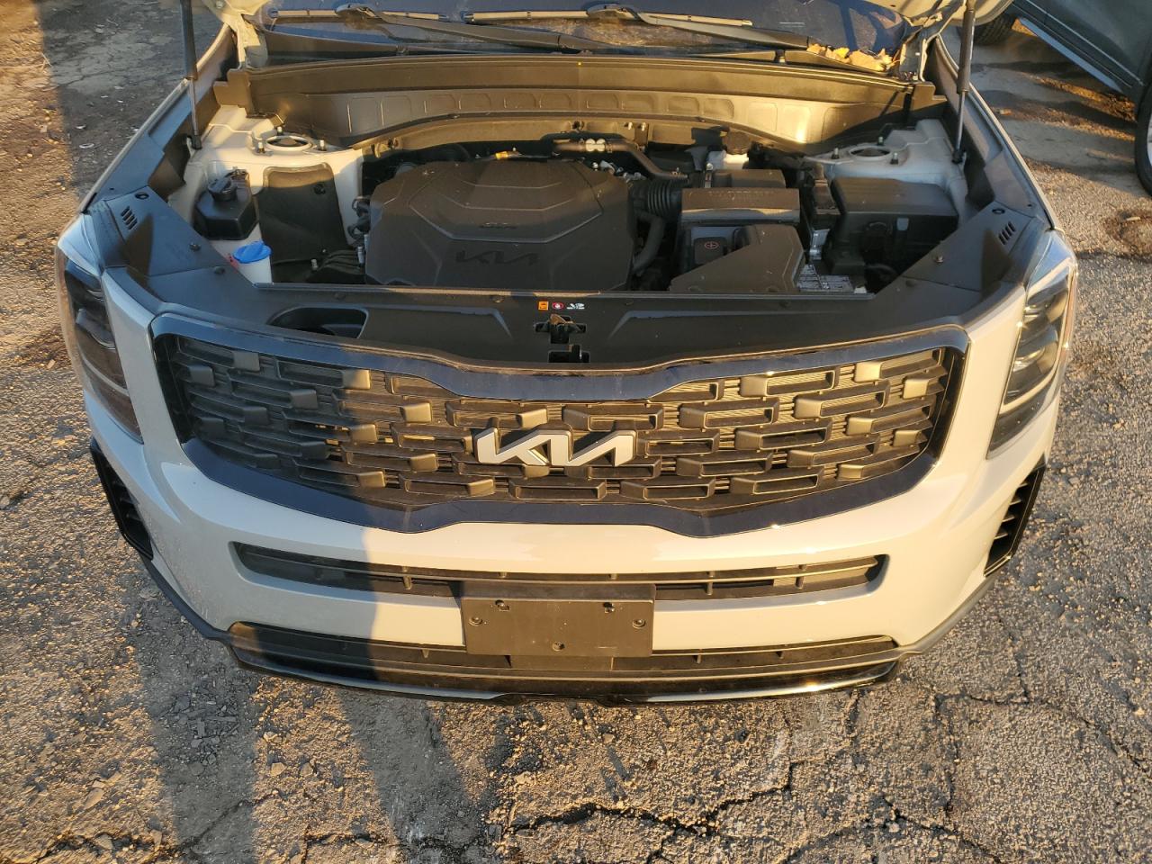 2022 Kia Telluride Ex VIN: 5XYP3DHC3NG323665 Lot: 92421425