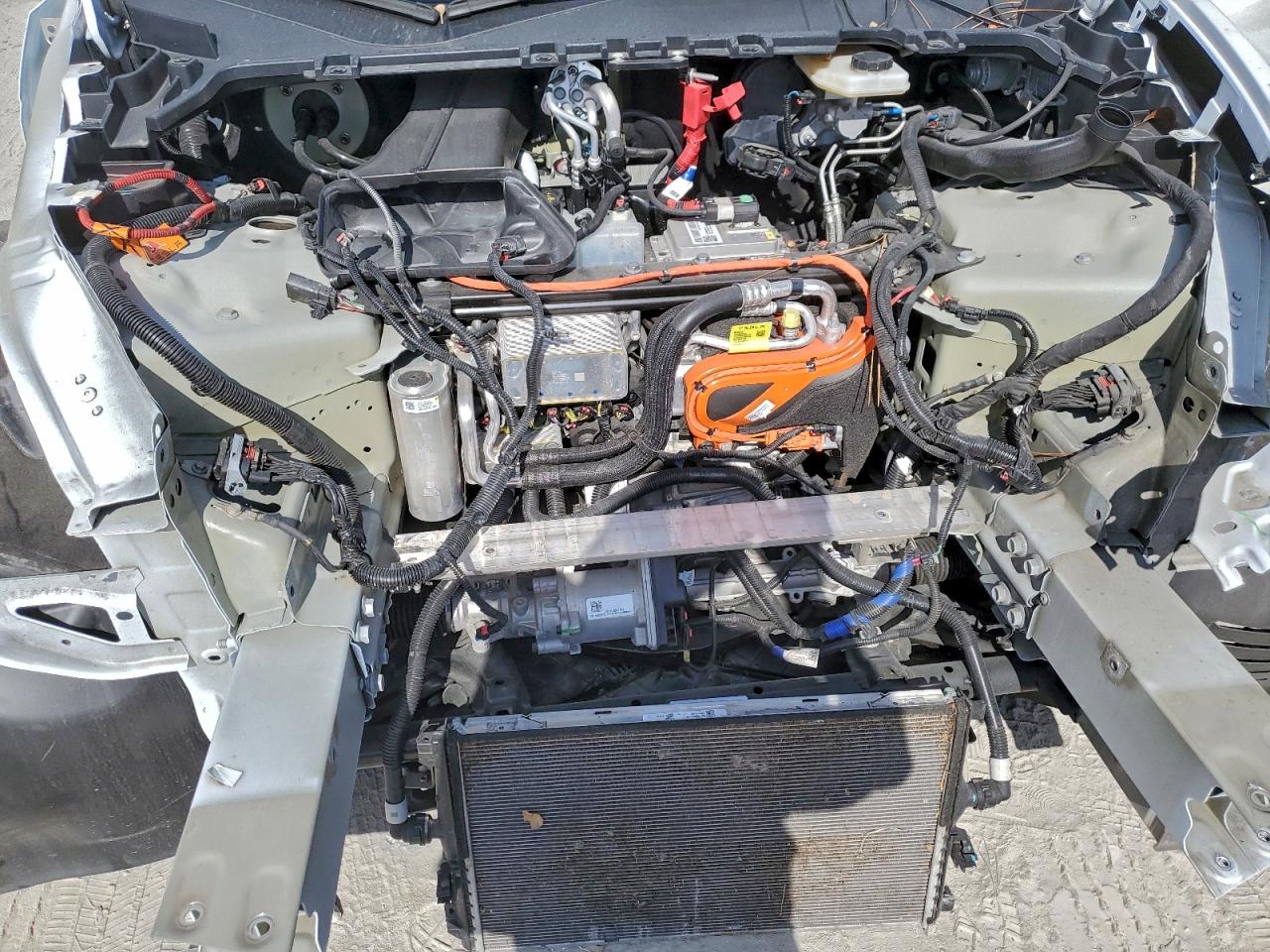 2023 Tesla Model Y VIN: 7SAYGAEE8PF697036 Lot: 94083505