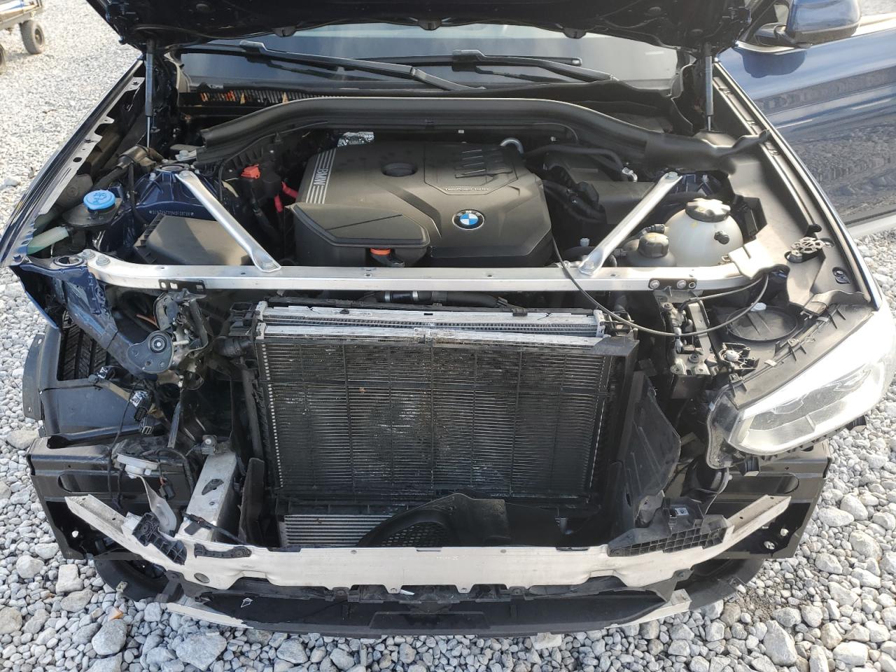 Фото: 5UXTY5C09M9F98798