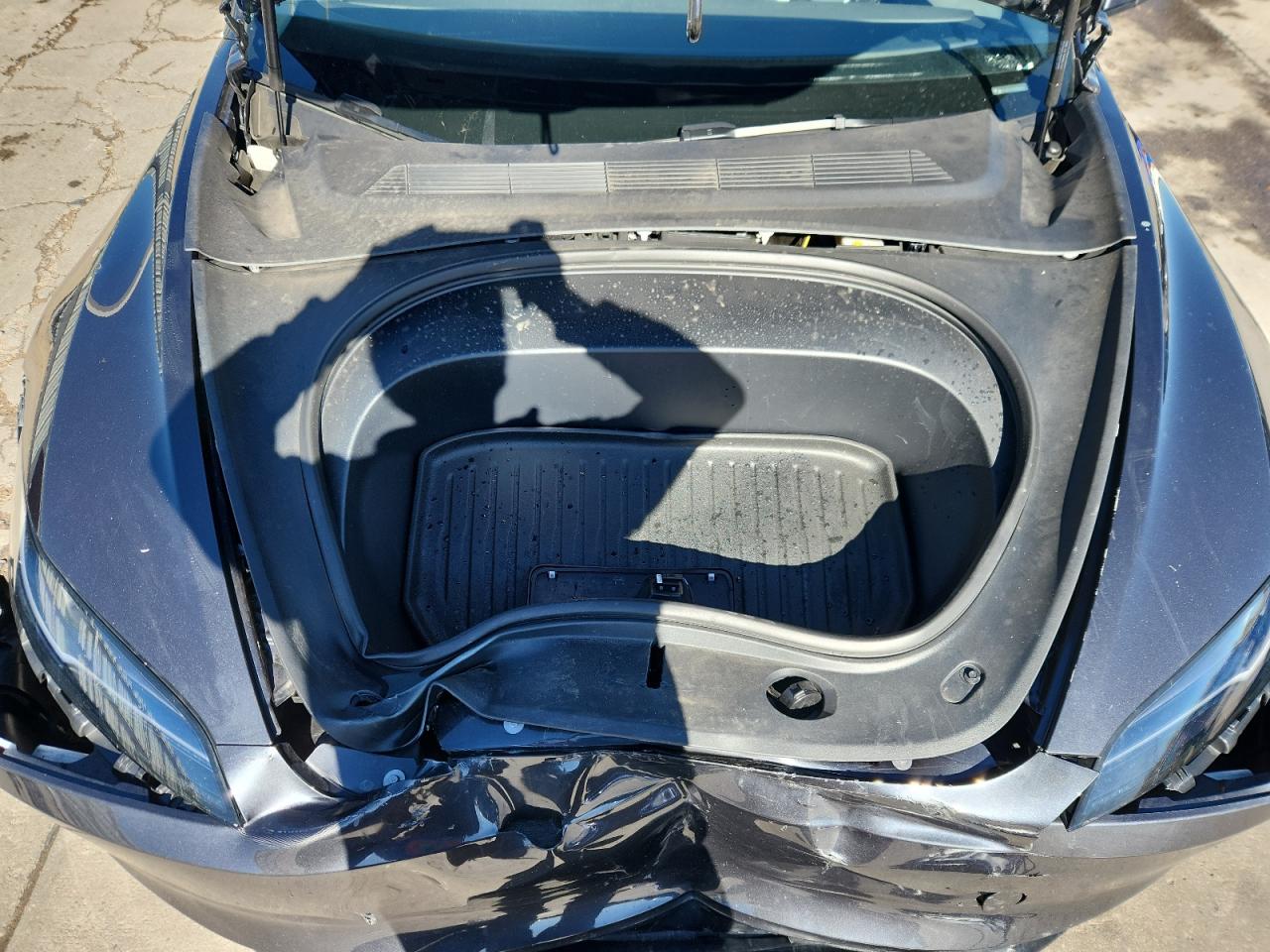 2024 Tesla Model 3 VIN: 5YJ3E1ET7RF856403 Lot: 91654495