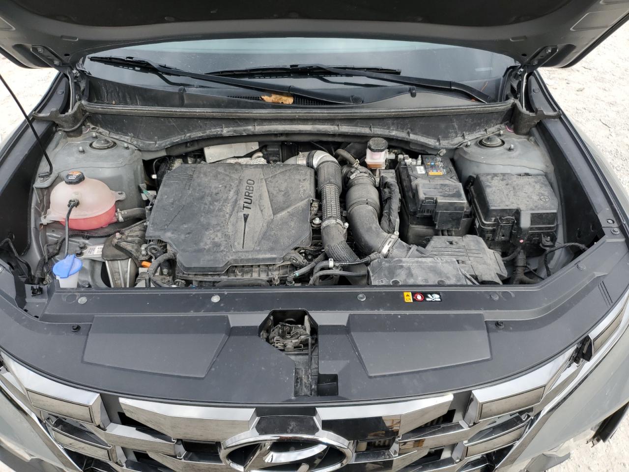 2023 Hyundai Santa Cruz Night VIN: 5NTJCDAF6PH047053 Lot: 92826725