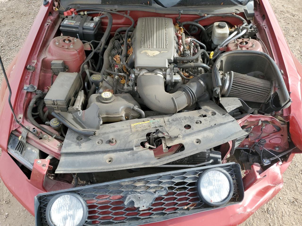 2008 Ford Mustang Gt VIN: 1ZVHT82H085146602 Lot: 92092455