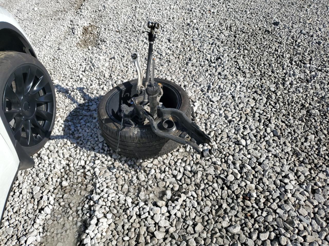 2024 Tesla Model Y VIN: 7SAYGDEE5RF200643 Lot: 91002645