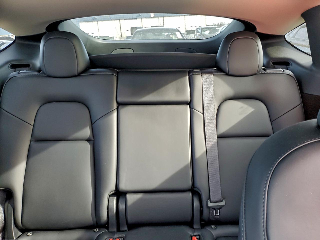 2024 Tesla Model Y VIN: 7SAYGDEE5RF024919 Lot: 93491305