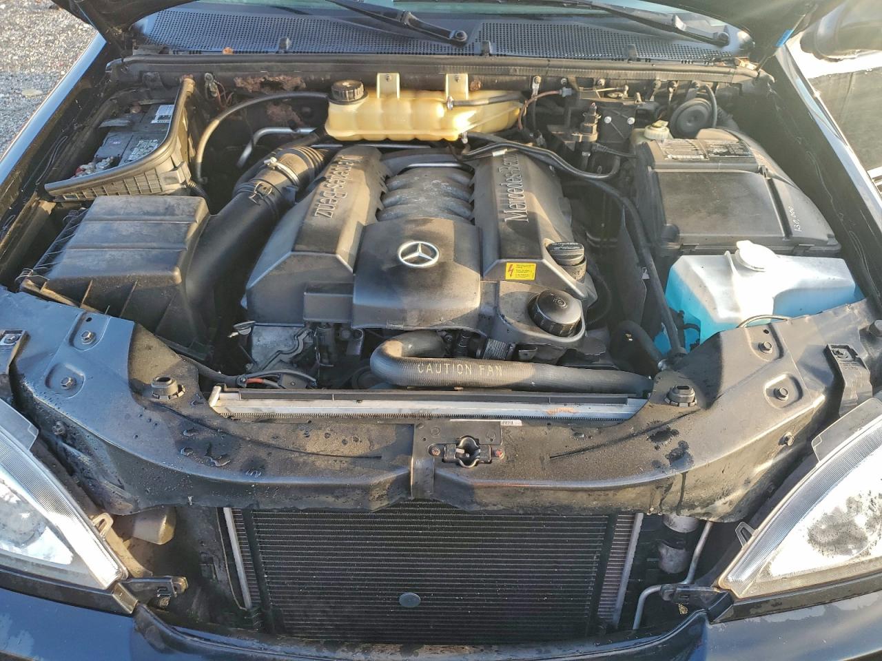 2002 Mercedes-Benz Ml 500 VIN: 4JGAB75E82A296065 Lot: 94219345