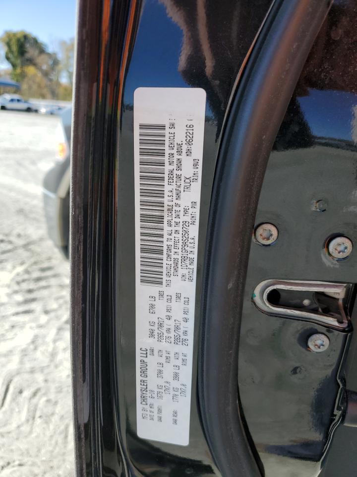 2010 Dodge Ram 1500 VIN: 1D7RB1GP9AS250729 Lot: 91052475