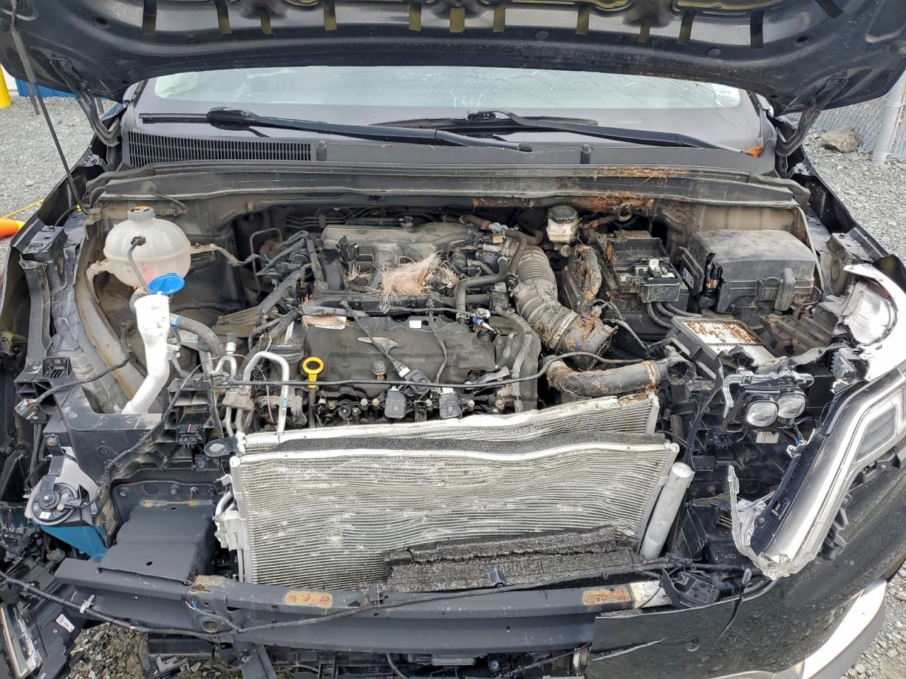 2023 Kia Carnival Sx VIN: KNDNE5H30P6290007 Lot: 94880065