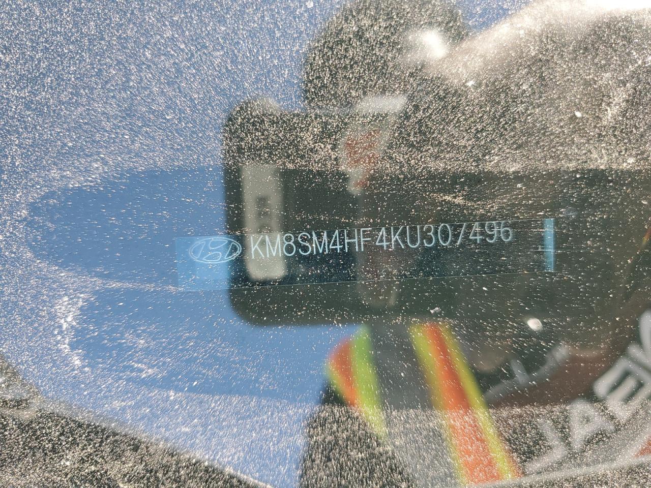 2019 Hyundai Santa Fe Xl Se VIN: KM8SM4HF4KU307496 Lot: 91117125