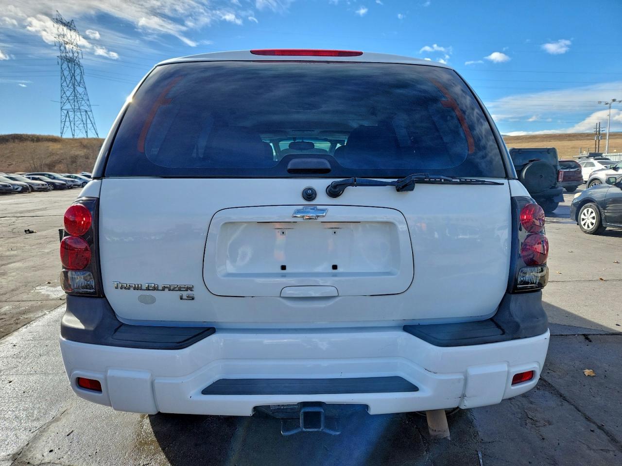 2006 Chevrolet Trailblazer Ls VIN: 1GNDT13S862295218 Lot: 94564415