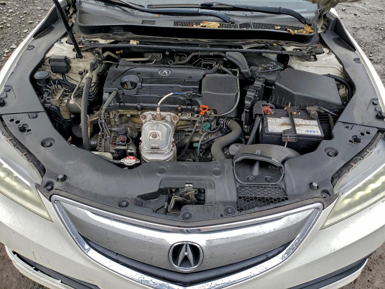 2015 Acura Tlx VIN: 19UUB1F35FA020705 Lot: 94556845