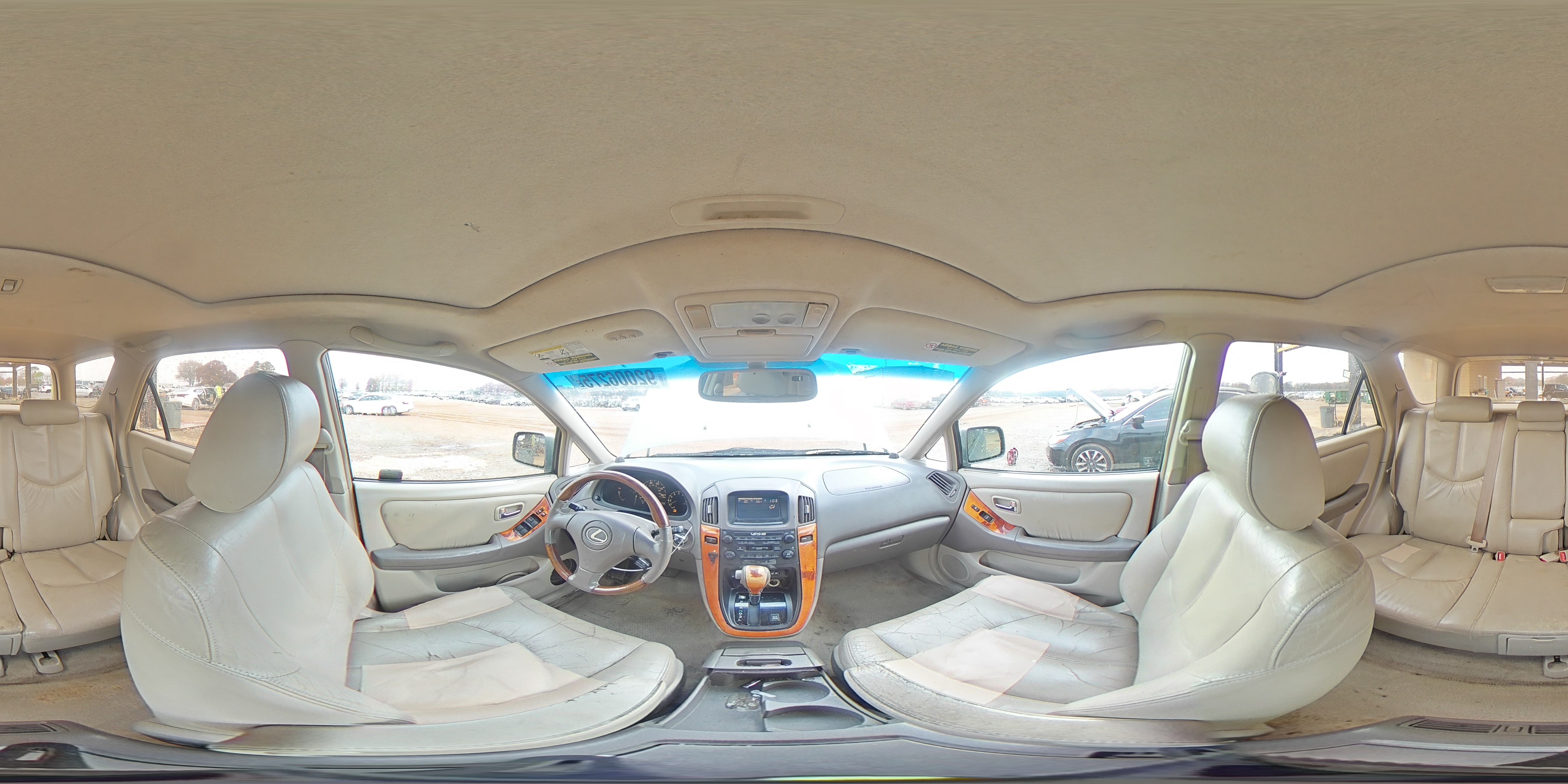 2002 Lexus Rx 300 VIN: JTJHF10U920246667 Lot: 92006275