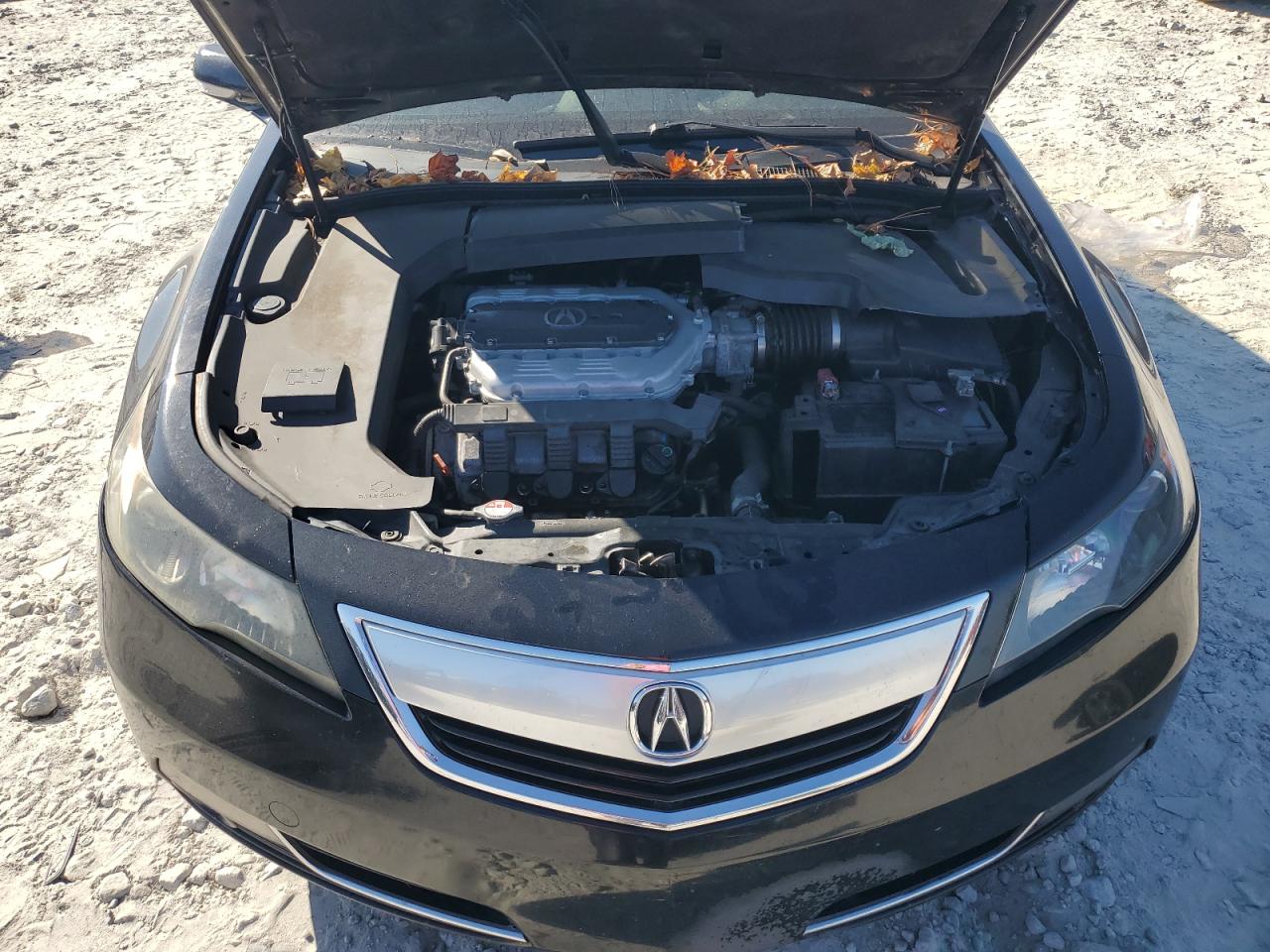 2012 Acura Tl VIN: 19UUA9E50CA010003 Lot: 91842195