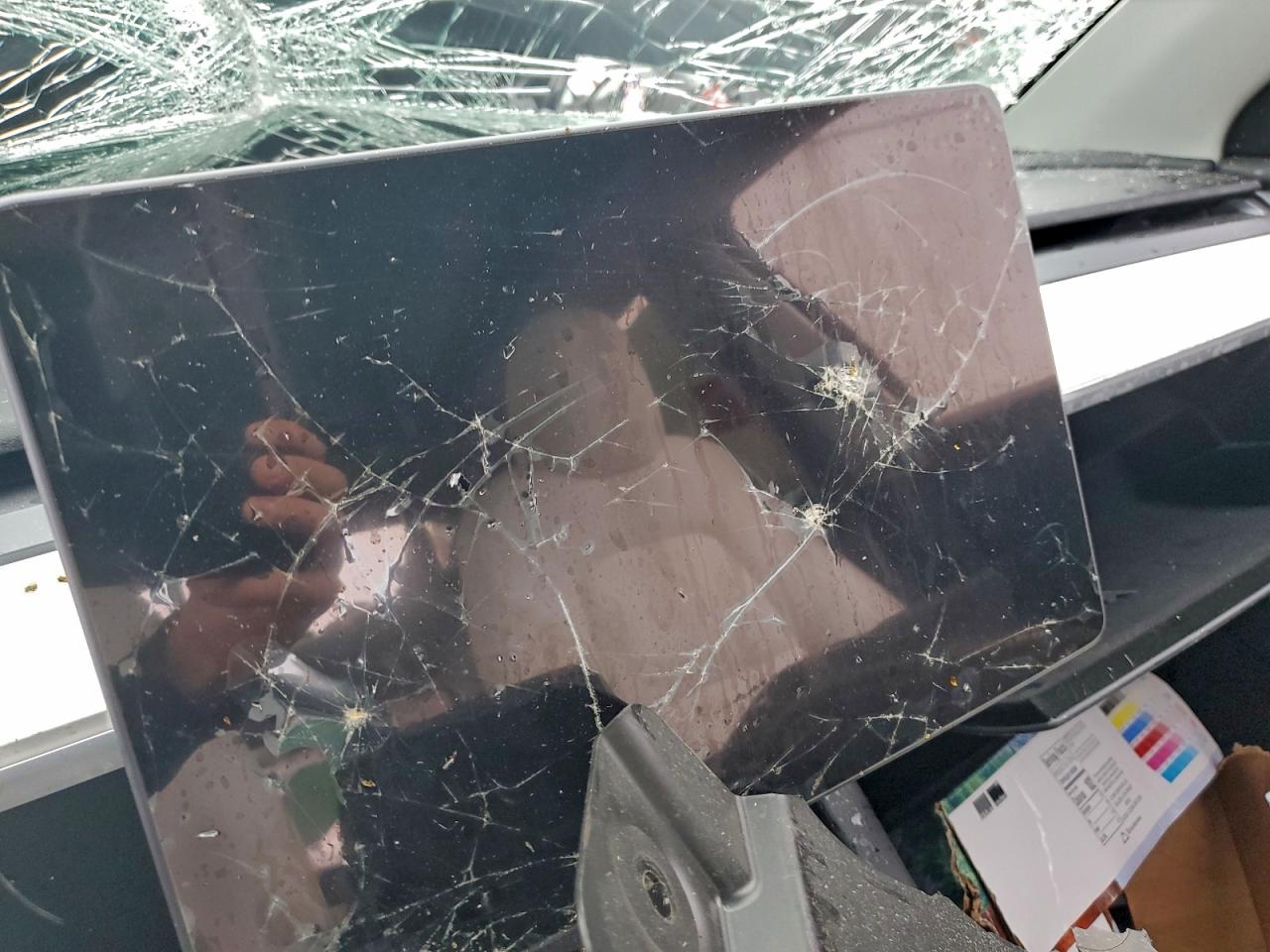 2025 Tesla Model Y VIN: 7SAYGDED5SA371466 Lot: 93948115