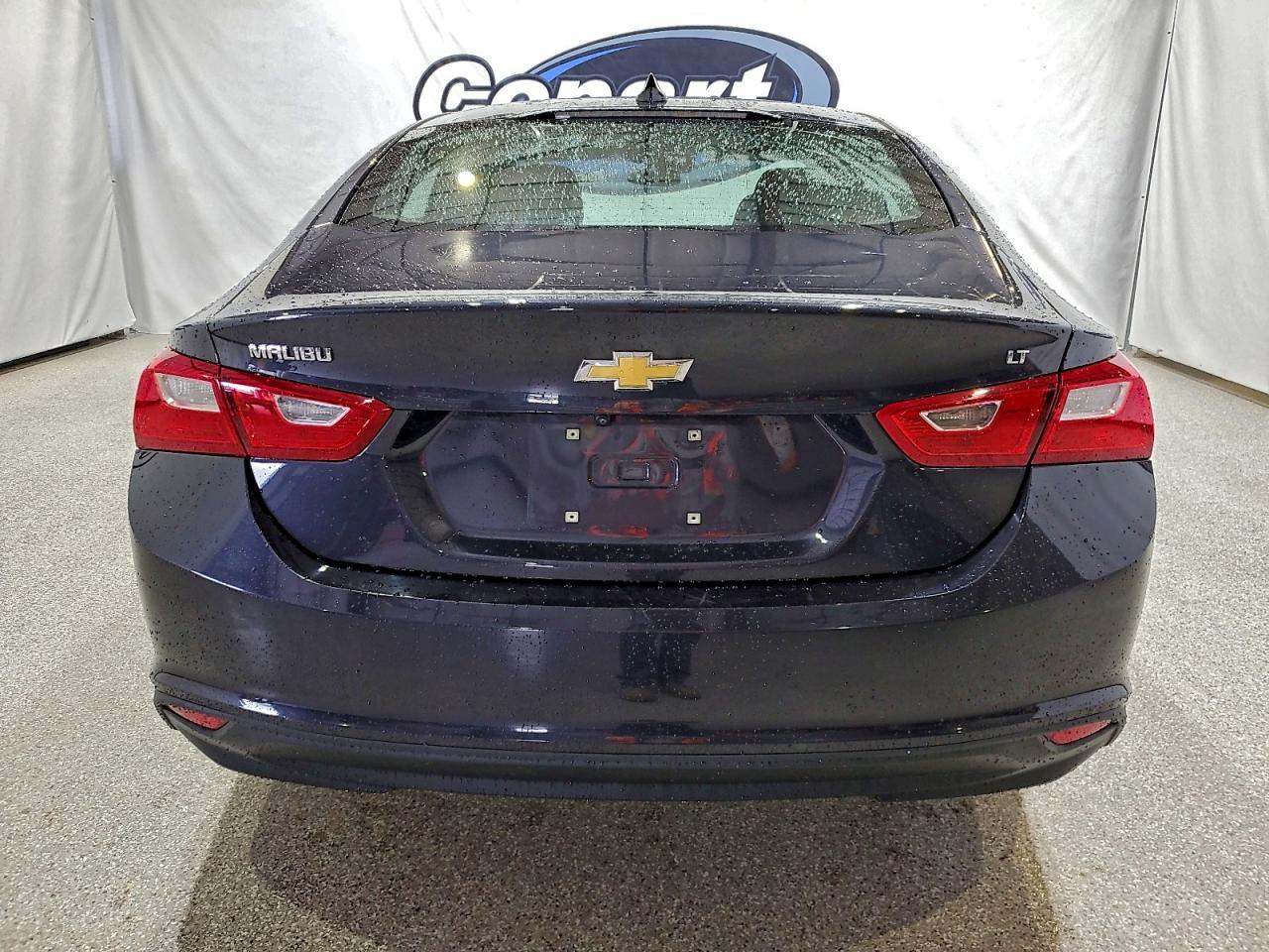 2023 Chevrolet Malibu Lt VIN: 1G1ZD5ST2PF168853 Lot: 94170195