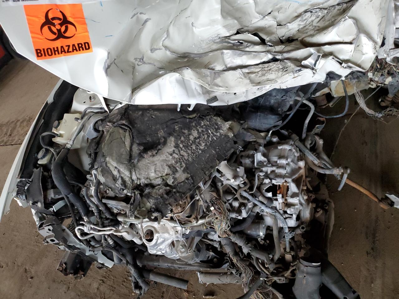 2020 Nissan Maxima Sl VIN: 1N4AA6DV9LC376005 Lot: 85391235