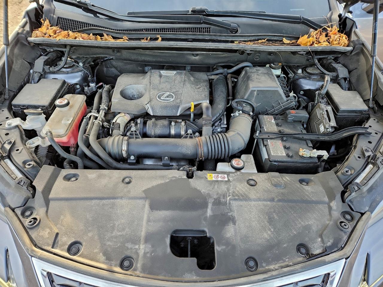 2021 Lexus Nx 300 Base VIN: JTJGARDZ3M2256827 Lot: 94042095