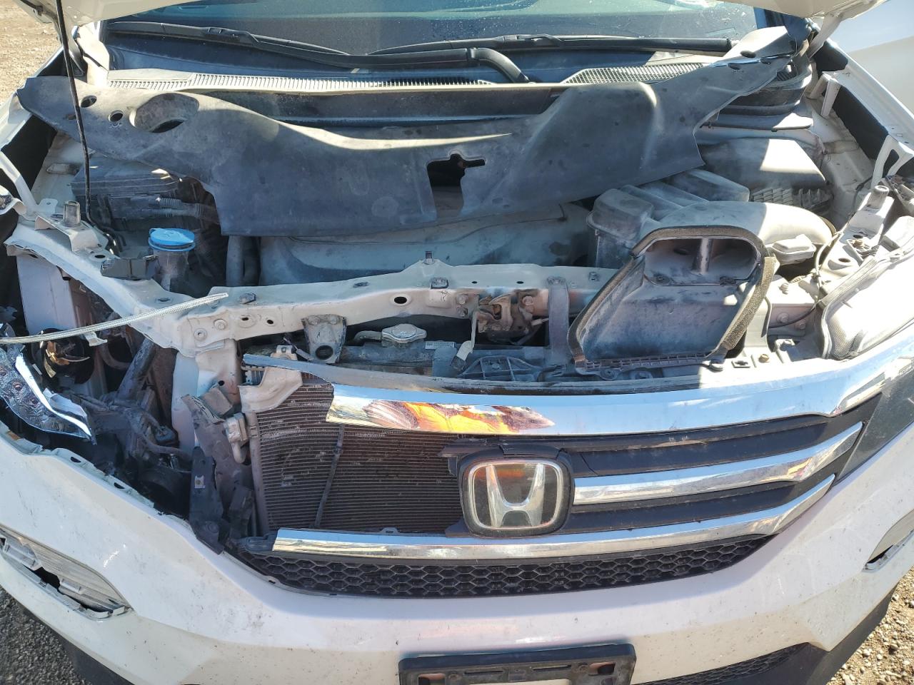 2018 Honda Pilot Exl VIN: 5FNYF6H60JB043334 Lot: 92035645