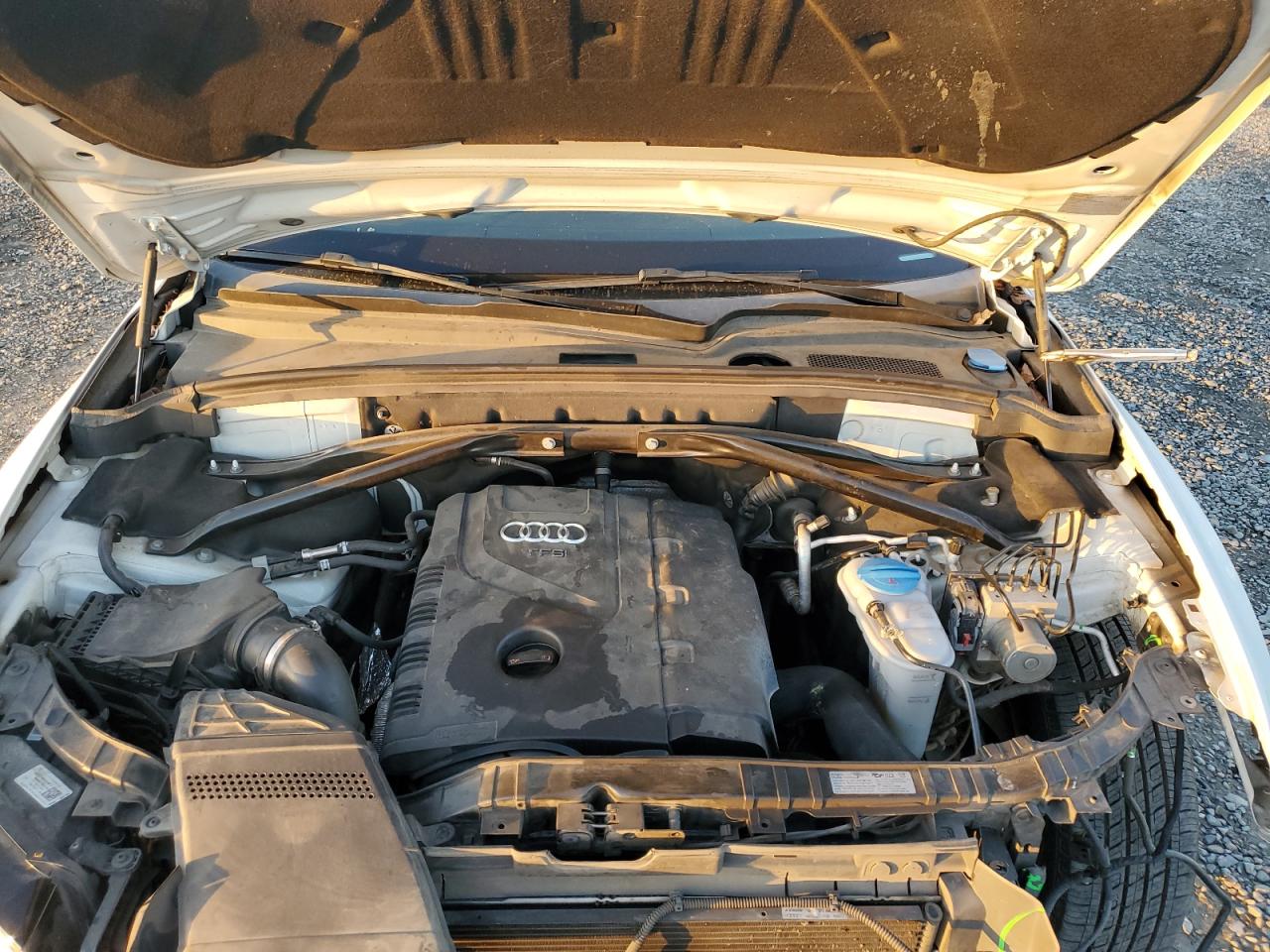 2013 Audi Q5 Premium Plus VIN: WA1LFAFP8DA074217 Lot: 91459925