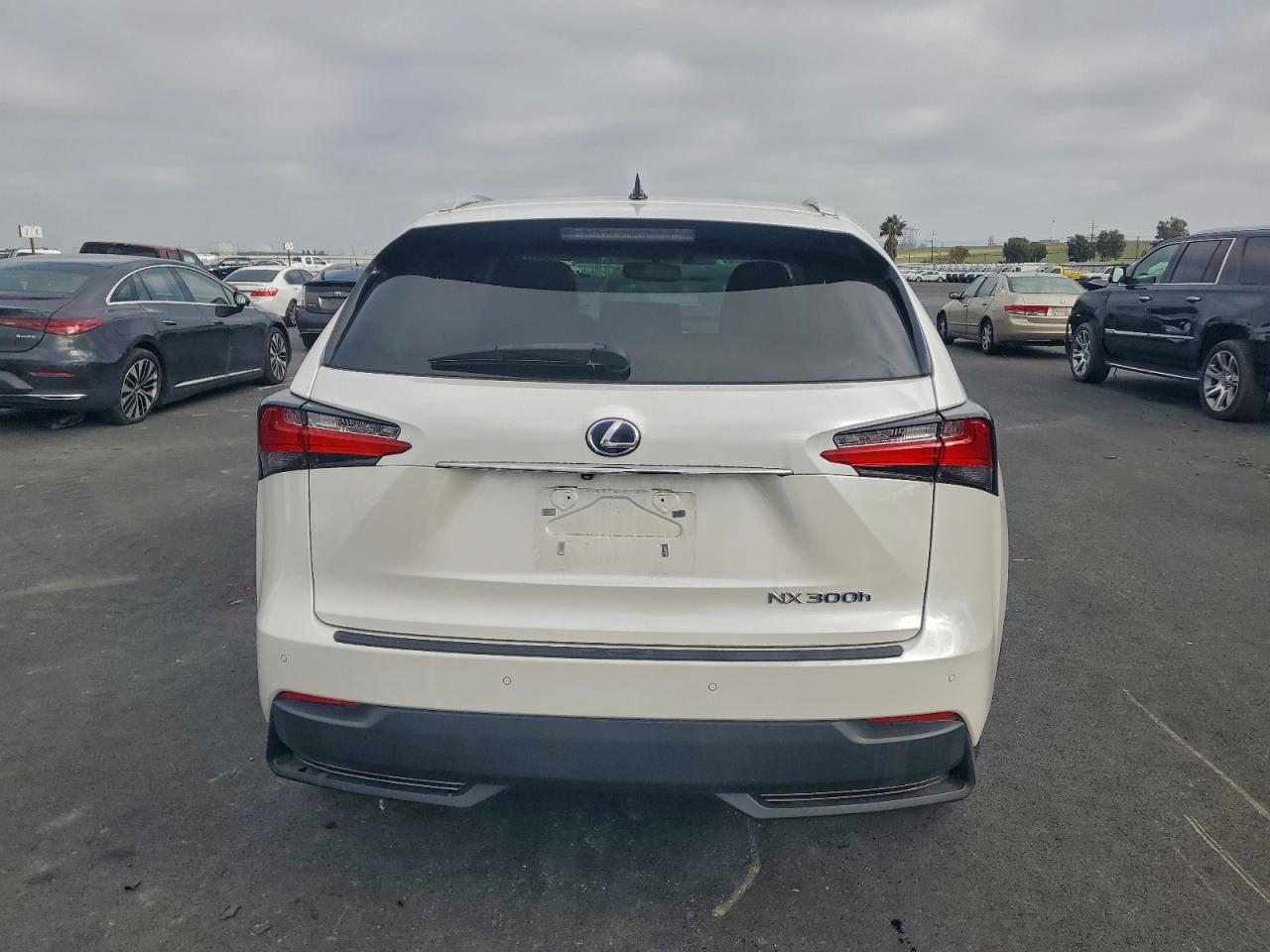 2017 Lexus Nx 300H VIN: JTJBJRBZ0H2066020 Lot: 94511885