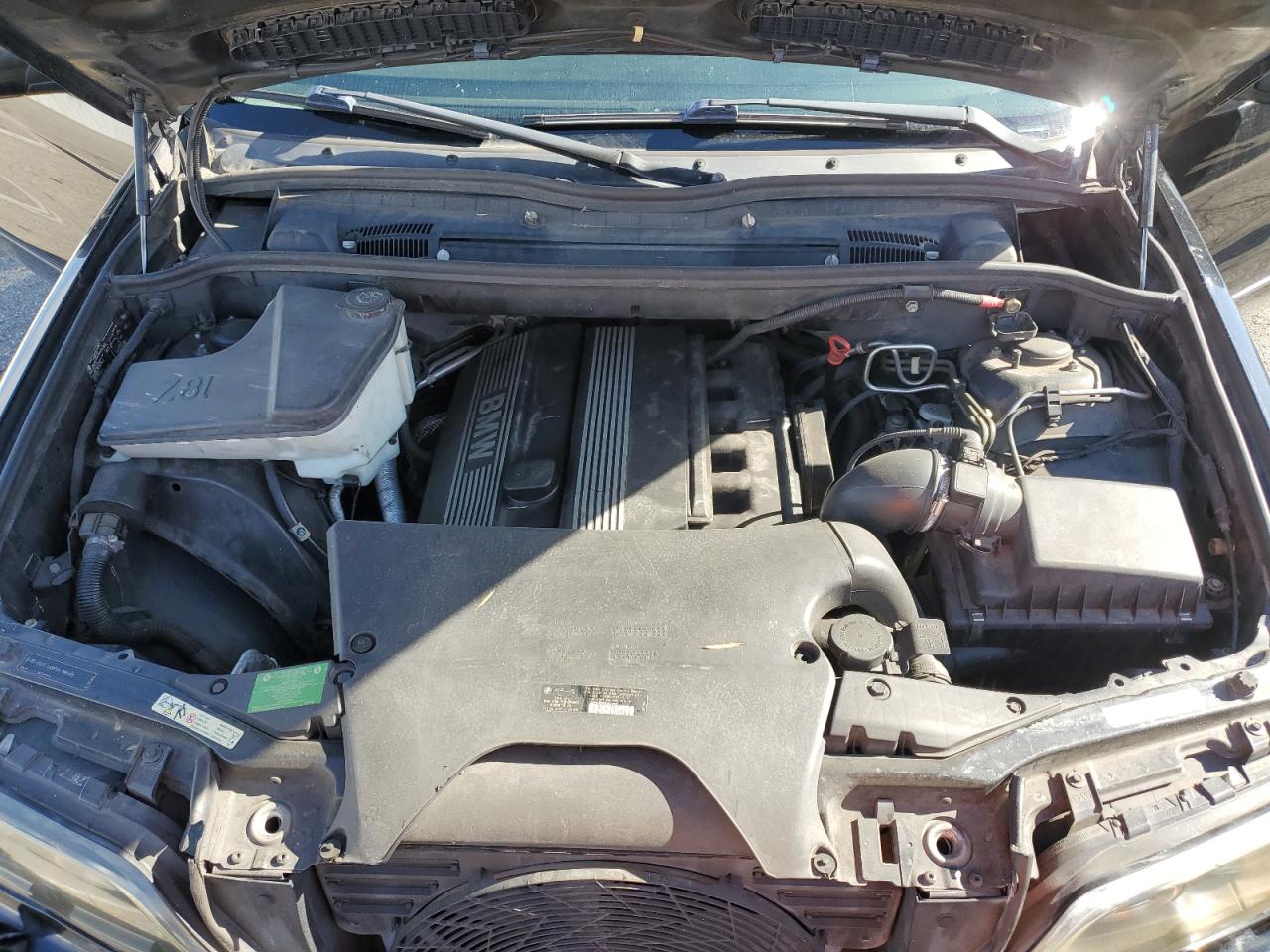 2006 BMW X5 3.0I VIN: 5UXFA13506LY31895 Lot: 93334735