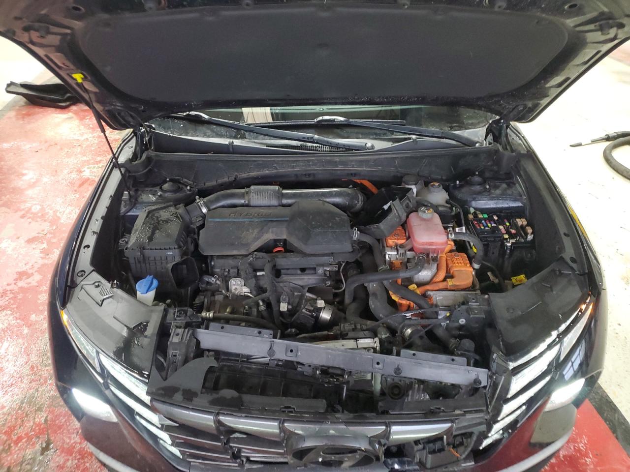 2022 Hyundai Tucson Blue VIN: KM8JBCA16NU016349 Lot: 92001035