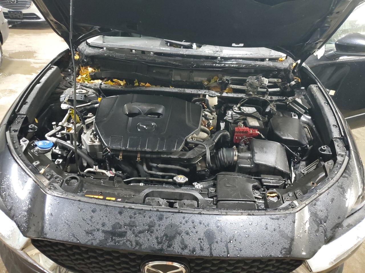 2023 Mazda Cx-30 Select VIN: 3MVDMBBM1PM554543 Lot: 92736485